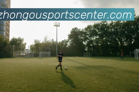 中欧体育平台生态图